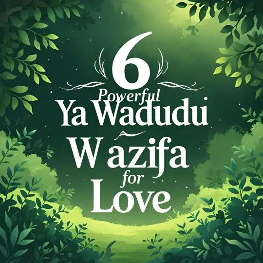 Home 9 6 Powerful Ya Wadudu Wazifa For Love
